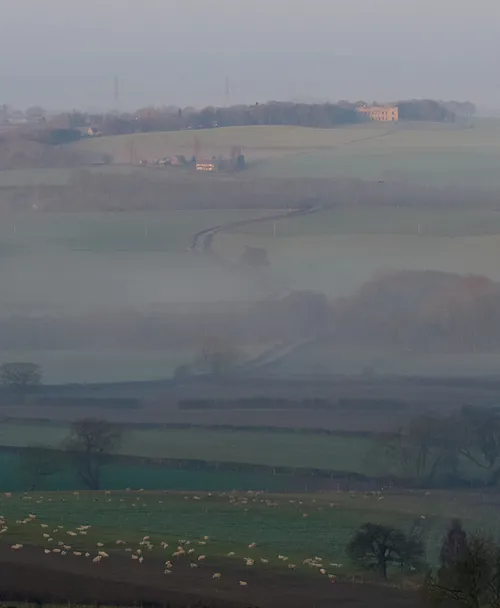 Sutton Scarsdale Hall Mist This landscape photograph captures Sutton Scarsdale Hall shrouded in mist during a spring dawn. The rural scene features green fields dotted with sheep, interspersed with trees and hedgerows, creating a tranquil countryside atmosphere. Sutton Scarsdale Hall, a notable landmark, is visible in the distance, positioned on higher ground above the fields. The early morning light enhances the presence of the mist and softens the details, while the trees and gently sloping hills contribute to the peacefulness of the spring landscape.